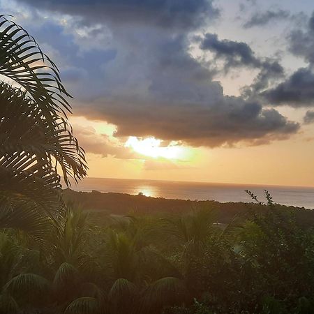 Oasis De Grande Anse Villa Десе Екстериор снимка