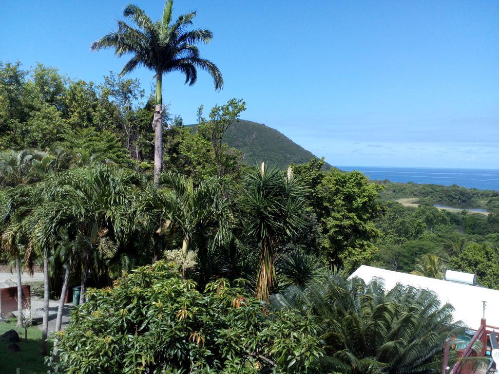 Oasis De Grande Anse Villa Десе Екстериор снимка
