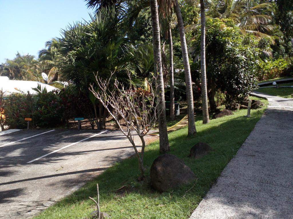 Oasis De Grande Anse Villa Десе Екстериор снимка