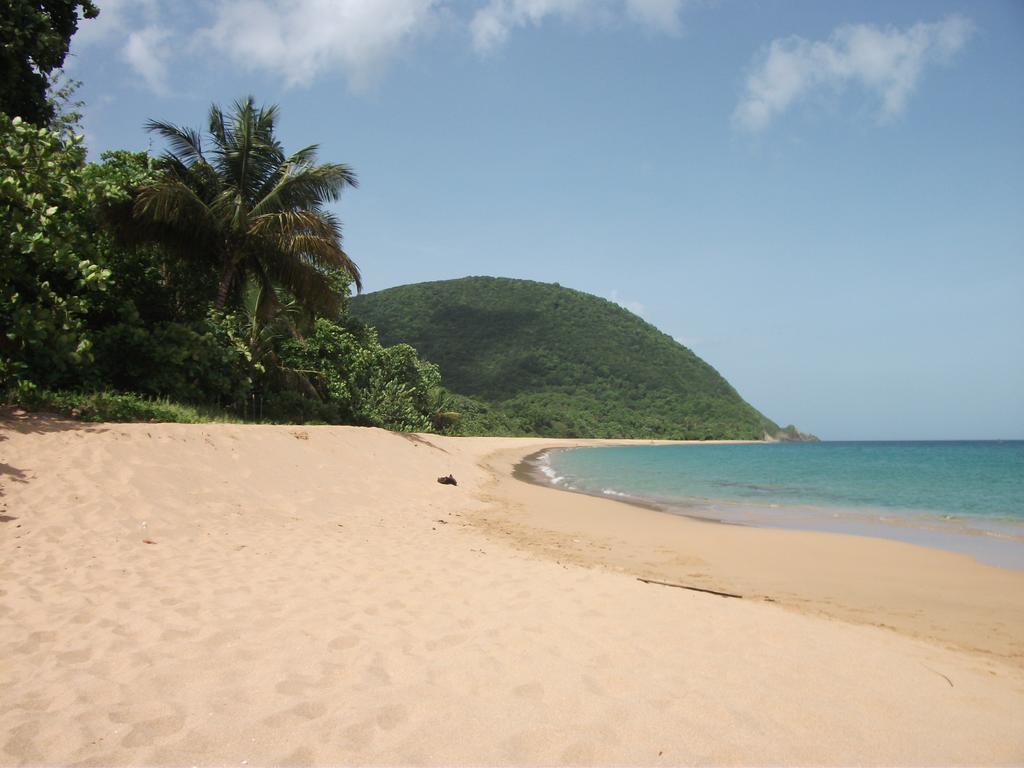 Oasis De Grande Anse Villa Десе Стая снимка